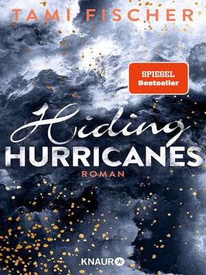 cover image of Hiding Hurricanes
